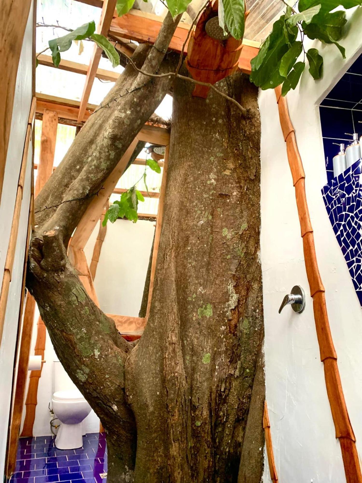 Tukulolo Treehouses Makaunga Екстер'єр фото